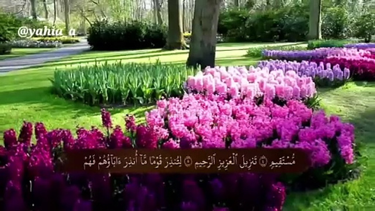 Facebook 48