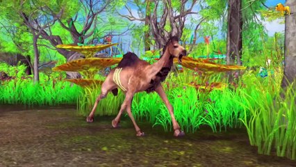 The cow did something that caused the lion to take revenge on him | New Lion Story in English