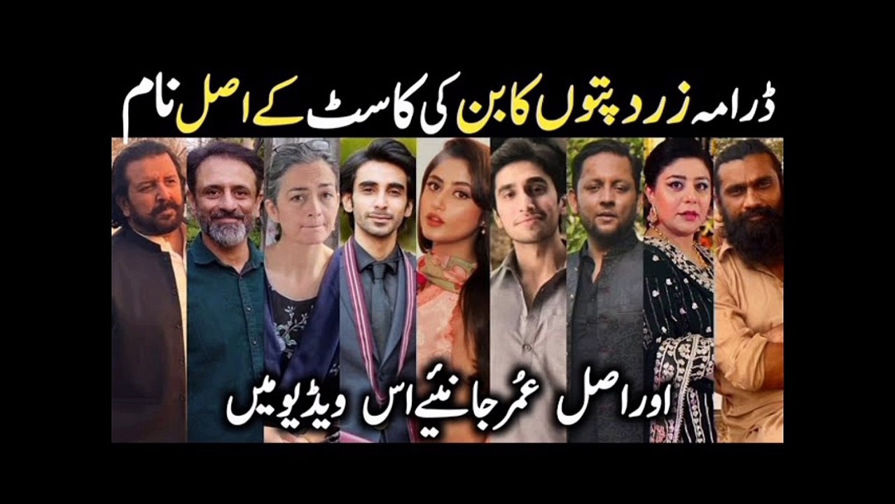 پاکستانی ڈراما ذرد پتوں کا بن
