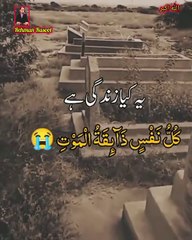 Ye kia zindagi hai یہ زندگی کیا ہے