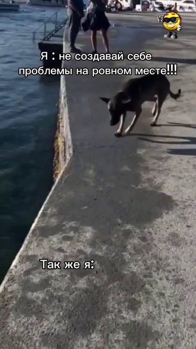 Funny Fails  - #funny #funnyfails #funnyvideo #humor #humour #humormemes #memes #memesvideo #fails