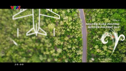 Phim truyện Mình yêu nhau, bình yên thôi - Tập 85