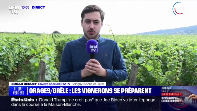Ce vigneron attend avec appréhension l'arrivée des orages en Saône-et-Loire ce samedi