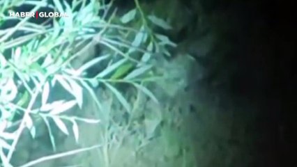 Şaşırtan anlar: 'Gecenin hayaleti' Tunceli'de görüntülendi