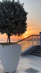 please like and share video