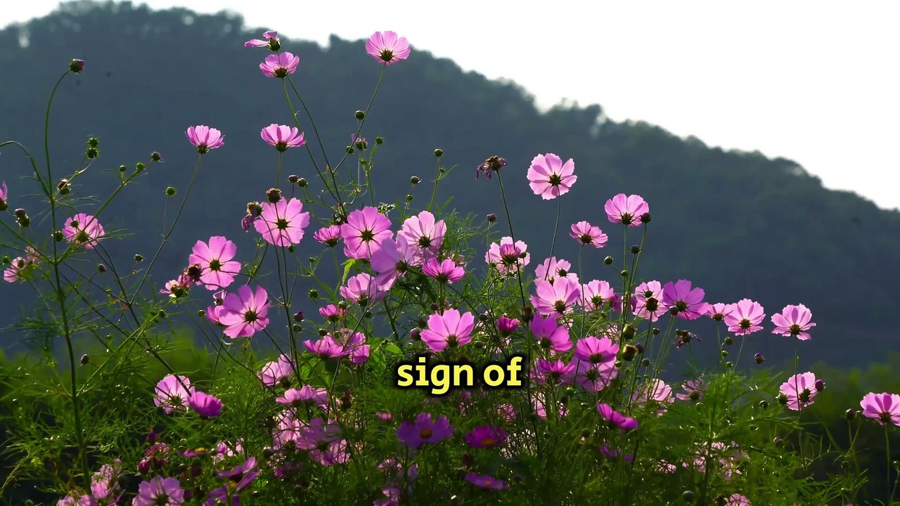 "Unraveling the Mysterious Mind: Surprising Psychology Discoveries about Human Behavior"