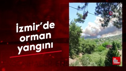 İzmir'de orman yangını: Havadan ve karadan müdahale ediliyor