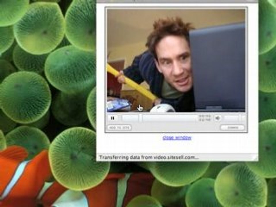 Create the perfect website