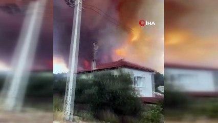 İzmir Menderes’te orman yangını!