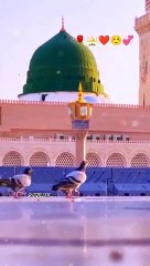 I_Love_Muhammad__S._A._W._W__#shorts_#muhammadﷺ_#viral_#naatsharif_#love_#madina(360p)