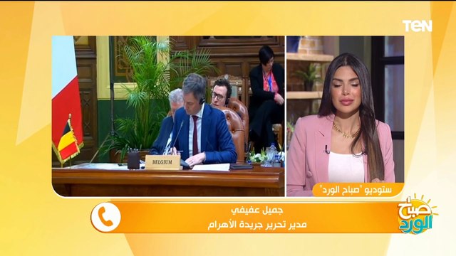 جميل عفيفي: مصر تسعى دائما لجذب الاستثمارات الأجنبية وتملك البنية التحتية لتنفيذ المشروعات