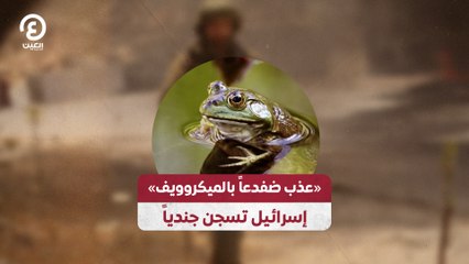 إسرائيل تحكم بالسجن على جندي عذب ضفدعًا بالميكروويف 🐸