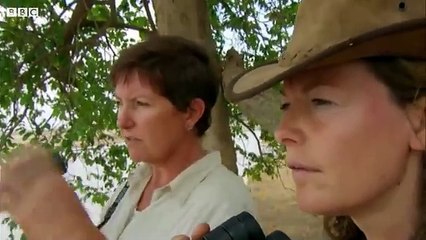 Top 5 Killer Crocodile Moments _ BBC Earth