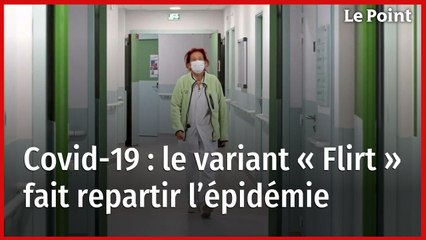 Covid-19 : le variant « Flirt » fait repartir l’épidémie