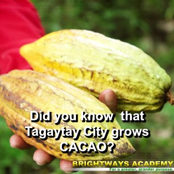 Best School in Dasmariñas City and Best School in Amadeo, Cavite