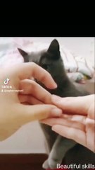 Powerful skills 