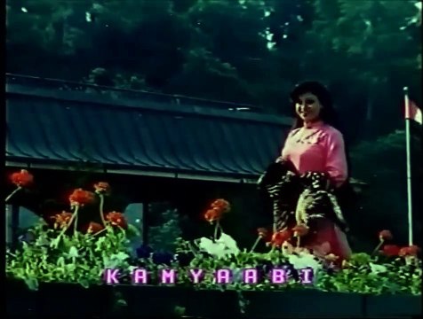 A.Nayyar, Naheed Akhter - Chand Mulaqaton Main - Kamyabi