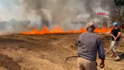 Edirne’nin Lalapaşa ilçesinde tarla yangını ağaçlık alana sıçradı