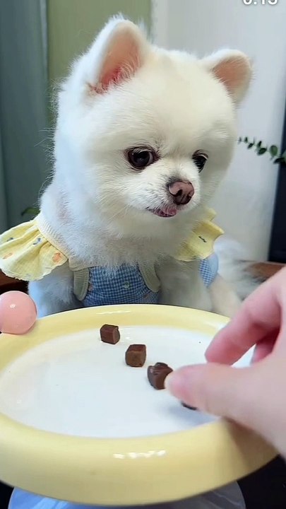 Cutepie