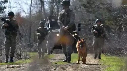 MSB duyurdu: Yasa dışı yollarla Yunanistan’a geçmeye çalışan 7 şahıs Edirne’de yakalandı