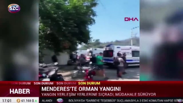 İzmir Menderes'te orman yangını