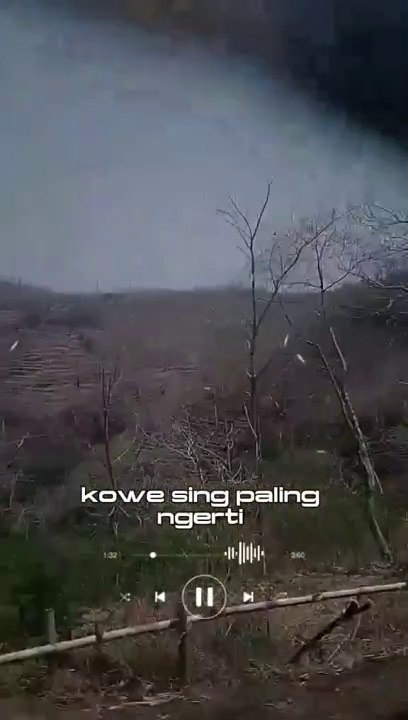 Lewat jalan arak arak menumu pantai pasir pjtih situbondo