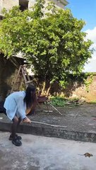 It’s okay not to have a sister like this # special treatment is not happy