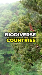 Top 10 facts about Costa Rica 