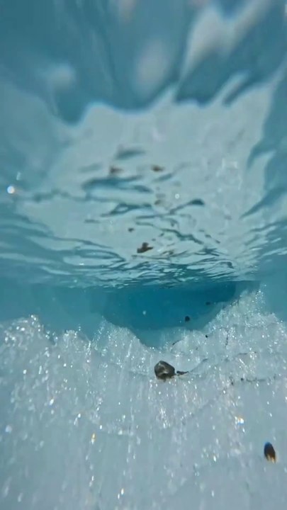 A Dive into the Artic glacier