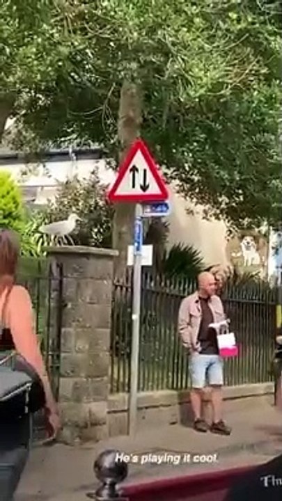 Fly-Thru Feast_ Birds Dive into Fries, Burgers, and Pizza