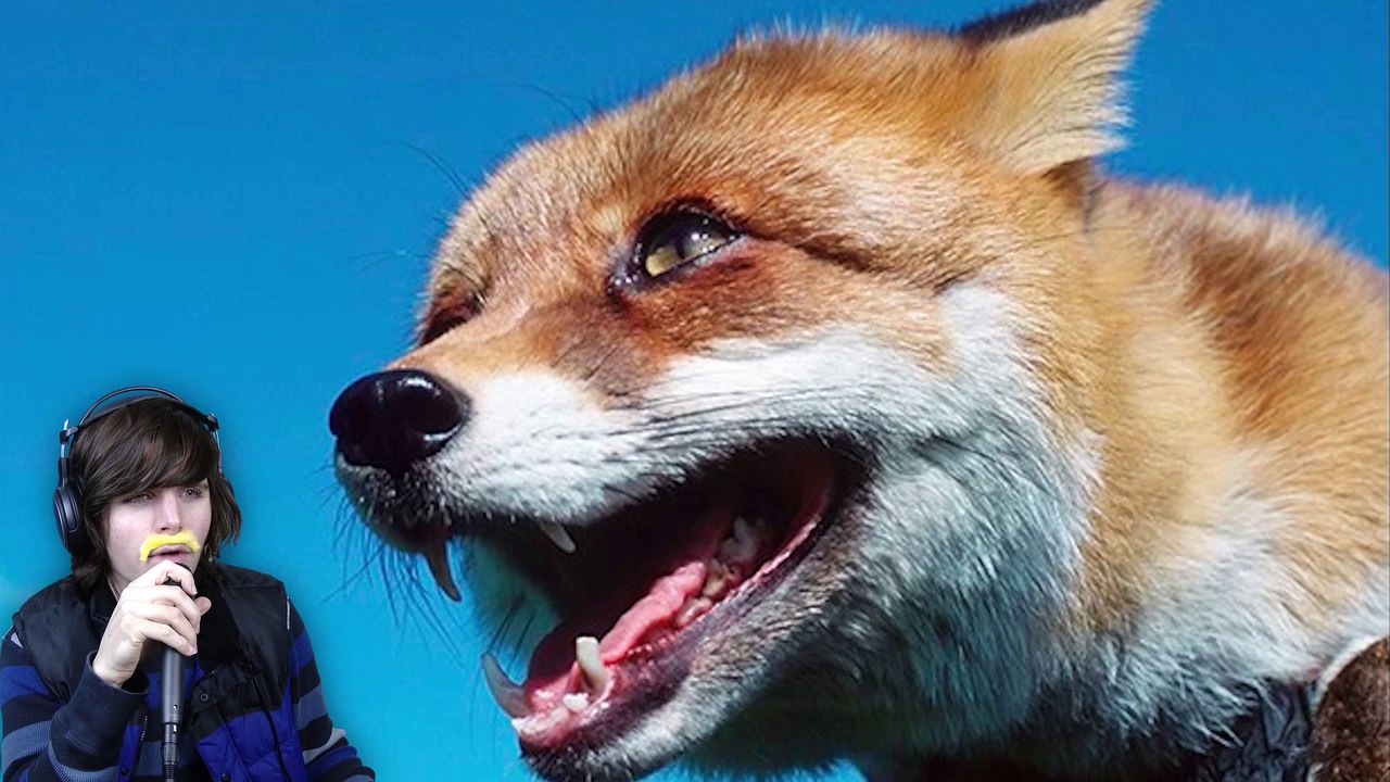 What Does The Fox Actually Say video Dailymotion