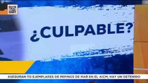 Fallan penal y pierden ante Venezuela en Copa América ¿Es la peor selección mexicana de la historia?