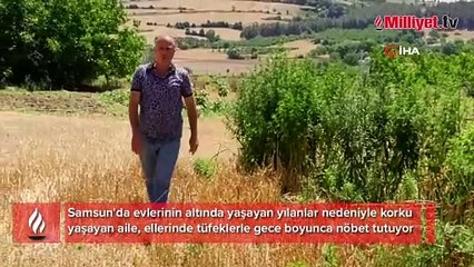 'Evin altında yılanlar yaşıyor' iddiası! 'Sopayı alıp fırlattı'