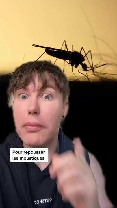 Les astuces qui marchent pour chasser les moustiques 