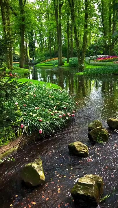 Nature view