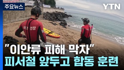 "공포의 이안류 피해 막자"...제주에서 합동 훈련 / YTN