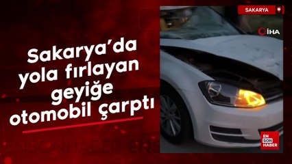 Sakarya'da yola fırlayan geyiğe otomobil çarptı