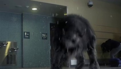 Must-Watch Horror & Werewolf Films Coming in 2024 👹