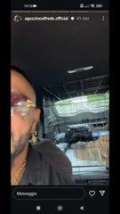 Ares il lupetto da Pordenone a roma