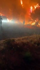 Kuşadası'nda başlayan orman yangını büyümeye devam ediyor