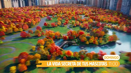 La vida secreta de tus mascotas