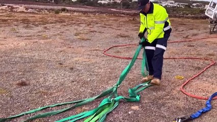 SA locals working alongside conservationists to save the endangered Eastern Osprey