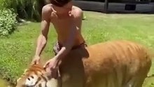 Best animals video