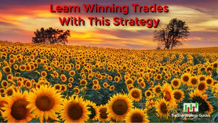 Learn Winning Trades With This Strategy + Litecoin-Bitcoin, NZDCHF, & Gold!