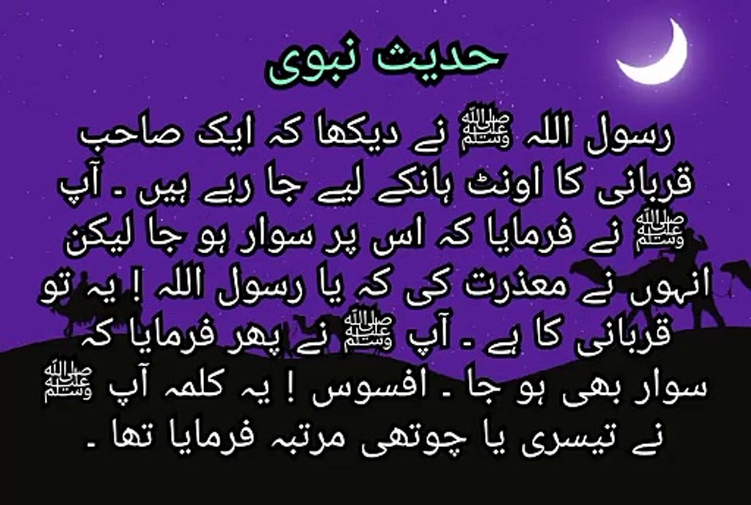 Daily Hadith
