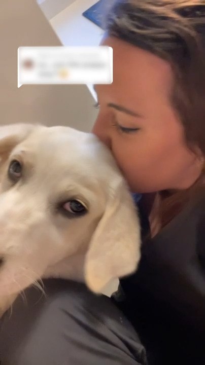 Woman Keeps Stray Puppy and Names It Mad Max