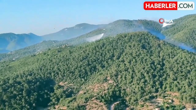 İzmir'in Selçuk ve Menderes ilçelerinde yangın! Ekiplerin mücadelesi sürüyor