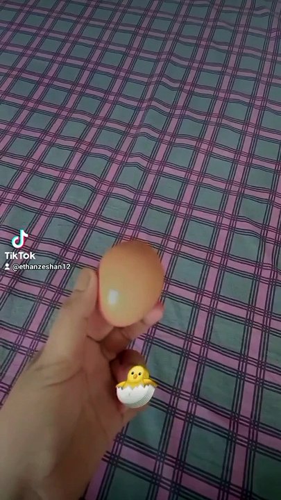 Little Chick ❤️