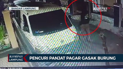 Terekam Cctv! Pelaku Panjat Pagar Curi Burung dalam Sangkar