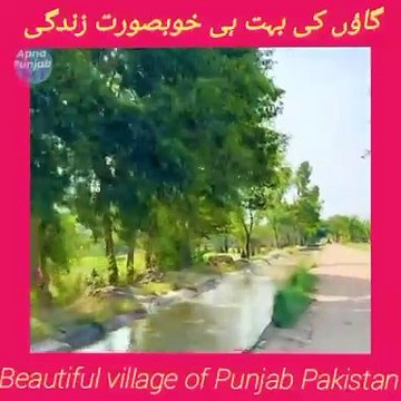 Gaon ka khoobsurat manzar | beautiful view of village | traditional village life in Pakistan dehat| daisy mahool village life ka | Punjabi culture